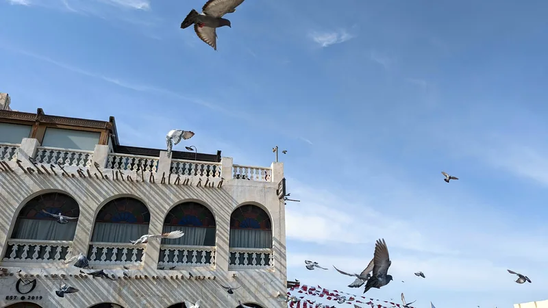 Birds over the arcaded facades and Qatari flags of Souq Waqif