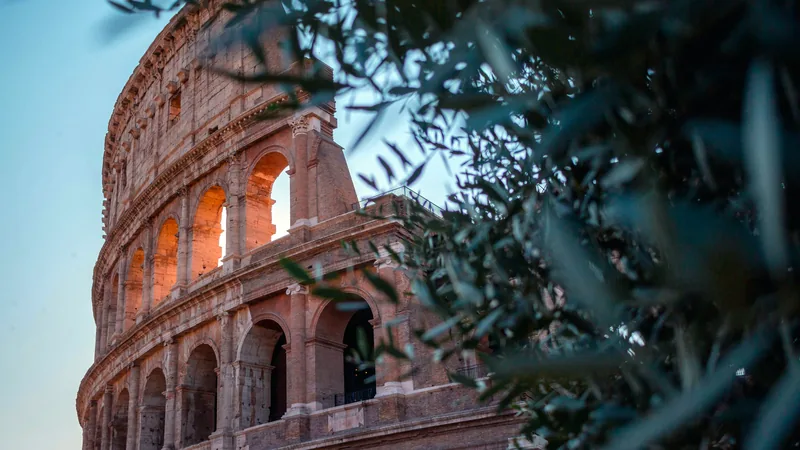 The Colosseum in warm morning light, framed by olive leaves